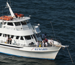 Deep sea fishing cruises off of Miami Beach